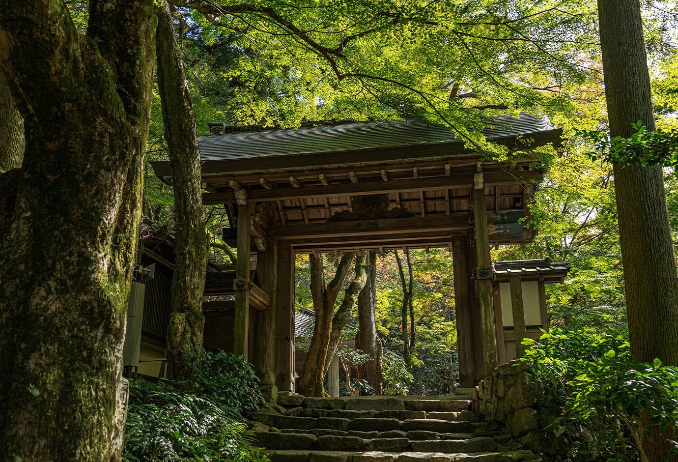 🍁 즈이호지 공원 이미지 5